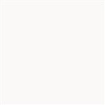 Thompson Enamel - Opaque - 1040 Quill White - 1 oz.