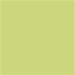 Thompson Enamel - Opaque - 1224 Melon Yellow - 1 oz.