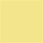 Thompson Enamel - Opaque - 1238 Ivory - 1 oz.