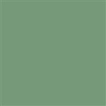 Thompson Enamel - Opaque - 1315 Willow Green - 1 oz.