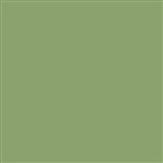 Thompson Enamel - Opaque - 1335 Pea Green - 1 oz.