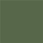 Thompson Enamel - Opaque - 1380 Mistletoe Green - 1 oz.